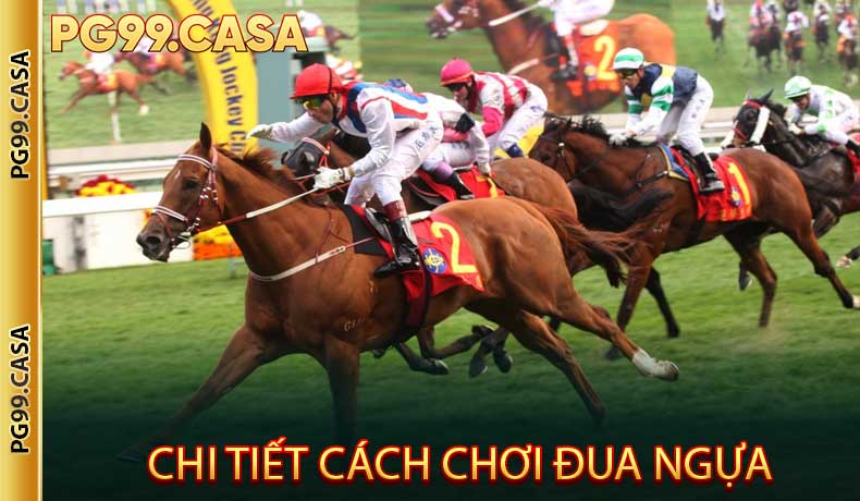Hướng Dẫn Chi Tiết Cách Chơi Đua Ngựa Cho Người Mới Bắt Đầu